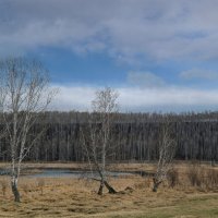 Весенний пейзаж :: Алексей Мезенцев