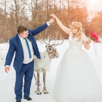 Свадьба с северным оленем :: Галина Шляховая