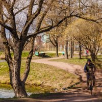 Парк Александрино (Санкт-Петербург) :: Роман Алексеев