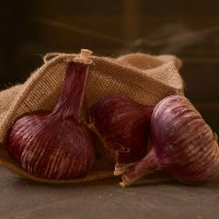 garlic :: Ирина Секачева