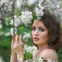 Яблони в цвету. :: Саша Бабаев