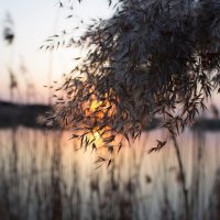 Закат :: Петрівська Галина 