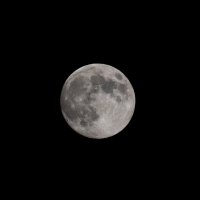 Полная Луна над Гатчиной :: Дарья Меркулова