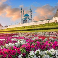 Цветы в Казани :: Юлия Батурина