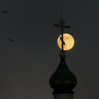 Ночь ...луна... :: Майя Жинкина