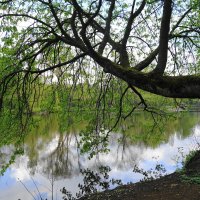 Весенние зарисовки :: Маргарита Батырева