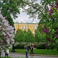 В Александровском саду :: Елена Кирьянова