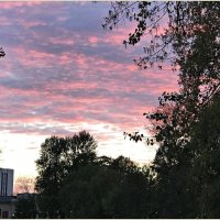 Розовый закат. :: Валерия Комова