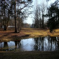 Павловский парк. Март :: Наталья Герасимова