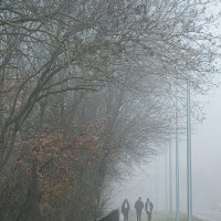 Ёжики в тумане... :: Юрий ЛМ