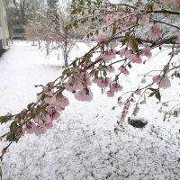в Финляндии выпал снег :: Anna-Sabina Anna-Sabina