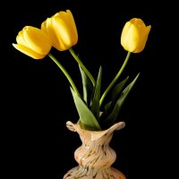 Желтые тюльпаны... :: Татьяна Н.