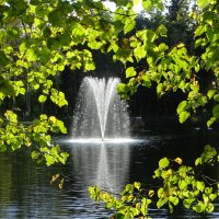 Шумит в старом парке обычный фонтан.. :: Ирина Майорова