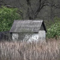 Одинокий и брошенный ... :: Евгений Хвальчев