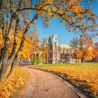 Дворец и осень :: Юлия Батурина