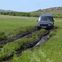 Англичанин,старенький в болотах  речки Зелёной... :: Андрей Хлопонин