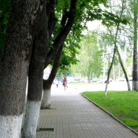 Зеленые улицы Курска. Улица К.Маркса :: MarinaKiseleva 