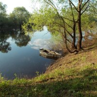 На реке :: Galina Solovova