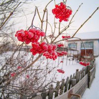 Прогулка по старым дачам. :: Александр Леонов