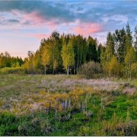 Прогулка на закате :: Вячеслав Минаев