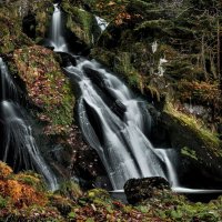 Водопад Триберг (Triberger Waterfall) :: Bo Nik