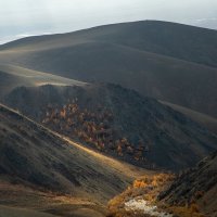 "Солнечные зайчики" :: Сергей Политыкин