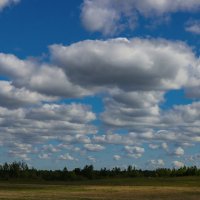 Облака - белокрылые лошадки :: Анатолий Шумилин