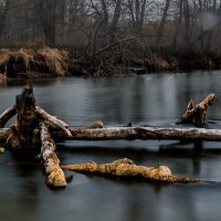 ... :: Евгений(Жора) Житников