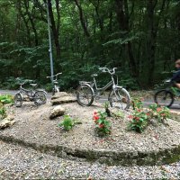 Клумба-памятник велосипедам :: Надежда 