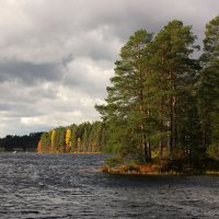 Осень на озере :: Ольга Саранцева