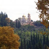 Осень в Абхазии :: Елена Хомкалова