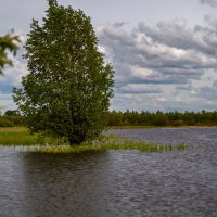 Вода, вода... :: Оксана Галлямова