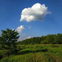 Настоящее лето в деревне :: Андрей Лукьянов