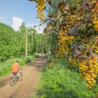 Прогулка в парке Александрино (Санкт-Петербург) :: Роман Алексеев