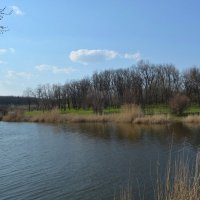 шахты. Роща Артёмовского водохранилища весной. :: Пётр Чернега