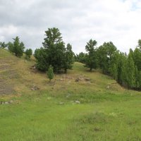 пейзаж :: ольга хакимова