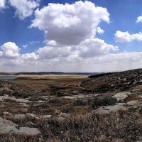 природа пустыни Негев :: Tatiana Kolnogorov