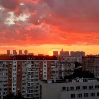 Июньский закат в Москве :: Елена 