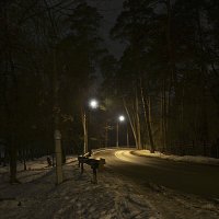 Зимний вечер в подмосковье :: Oleg4618 Шутченко