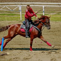 Рубка лозы :: Роман Величко