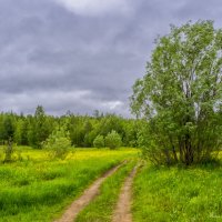 За деревней :: Дмитрий Иванов