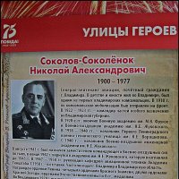 ВЛАДИМИР ПРОВИНЦИАЛЬНЫЙ_2020 :: Валерий Викторович РОГАНОВ-АРЫССКИЙ