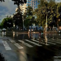 После дождя :: Николай Филоненко 