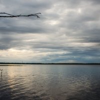 дачное озеро :: Елена Кордумова