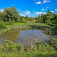 Московское лето... :: Владимир Жданов