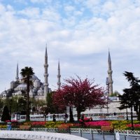 Стамбул Голубая мечеть Мечеть Султанaхмет :: wea *