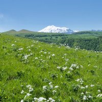 Эльбрус с перевала Гум-Баши :: Дмитрий Сарманов