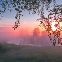Ранним утром стелется туман... :: Валерий Иванович