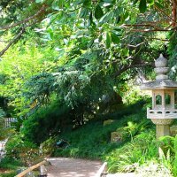 Японский сад :: Гала 