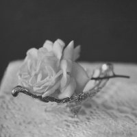 Лежала роза на столе... :: Liliya 